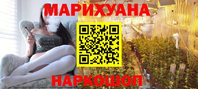 гидра Будённовск