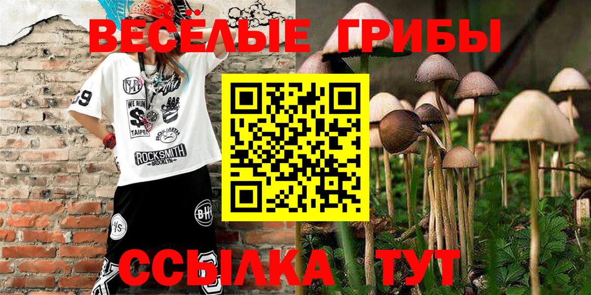 Тосно  Галлюциногенные грибы мицелий  Вход с VPN 