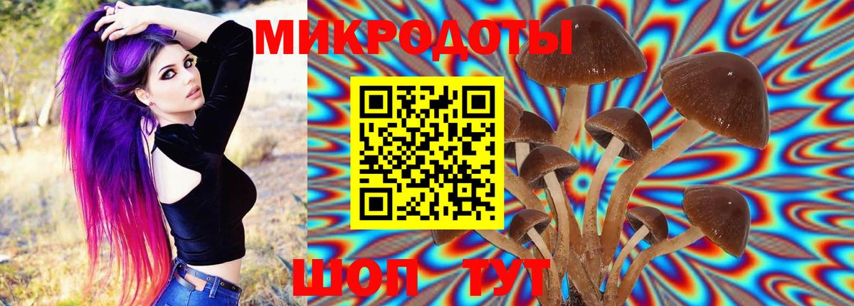 Галлюциногенные грибы мицелий Тосно
